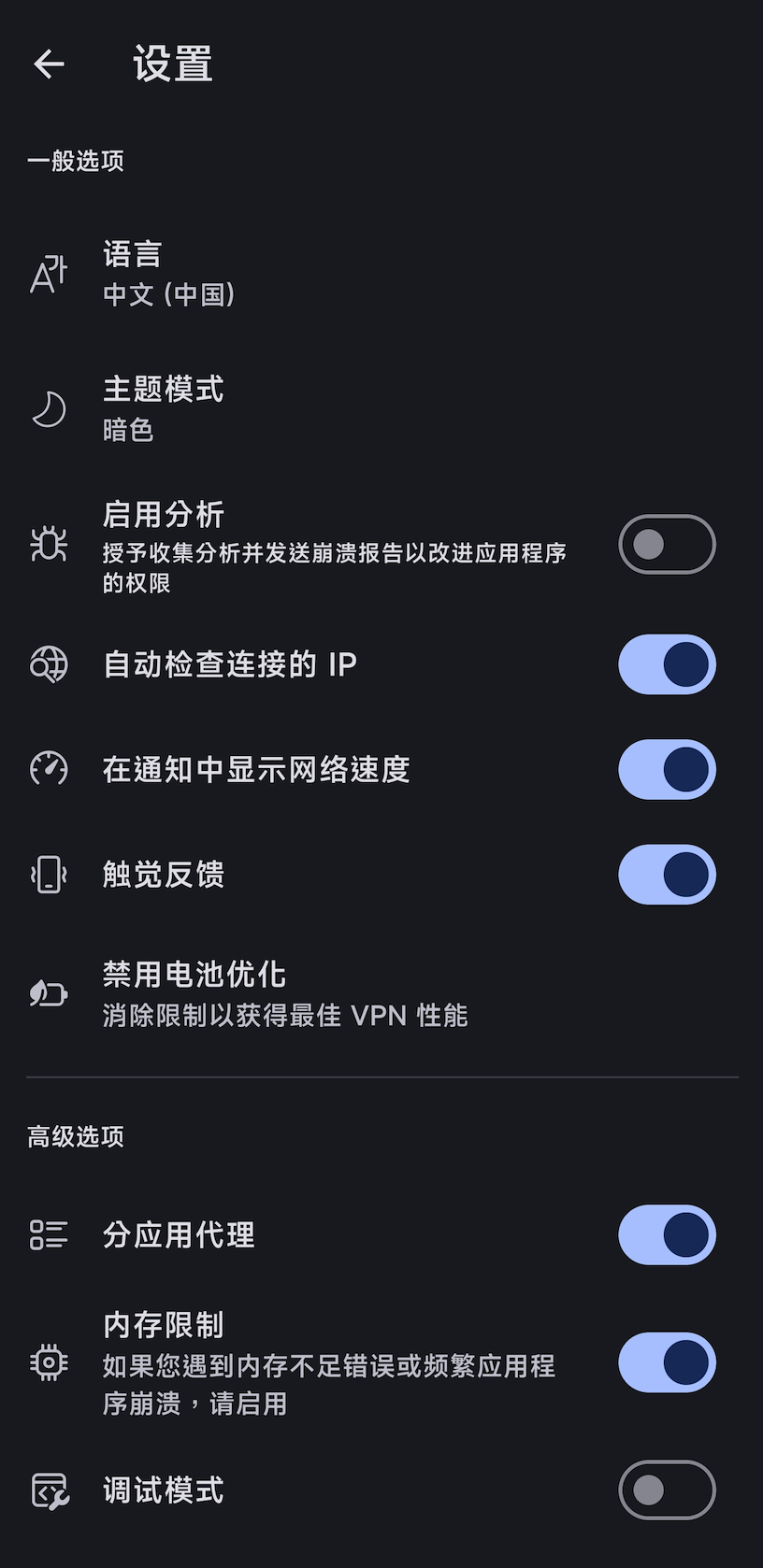 Hiddify 设置页
